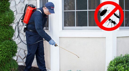 Havsa Dezenfeksiyon böcek ilaçlama ve haşere kontrolü — ilaclama-tr.com